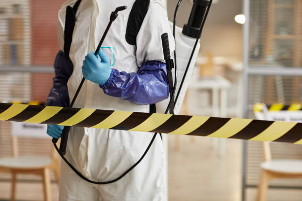 Professional Blood Cleanup technician working in Castro Valley, CA